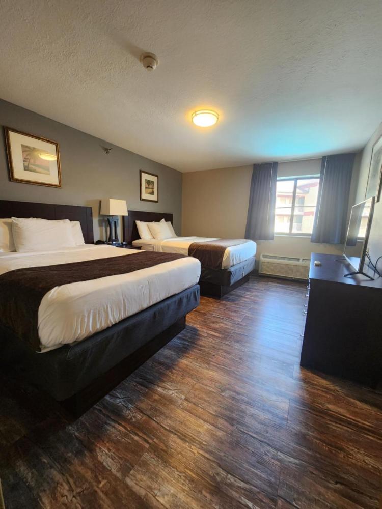 Luxury Suite with Sofa Bed interior